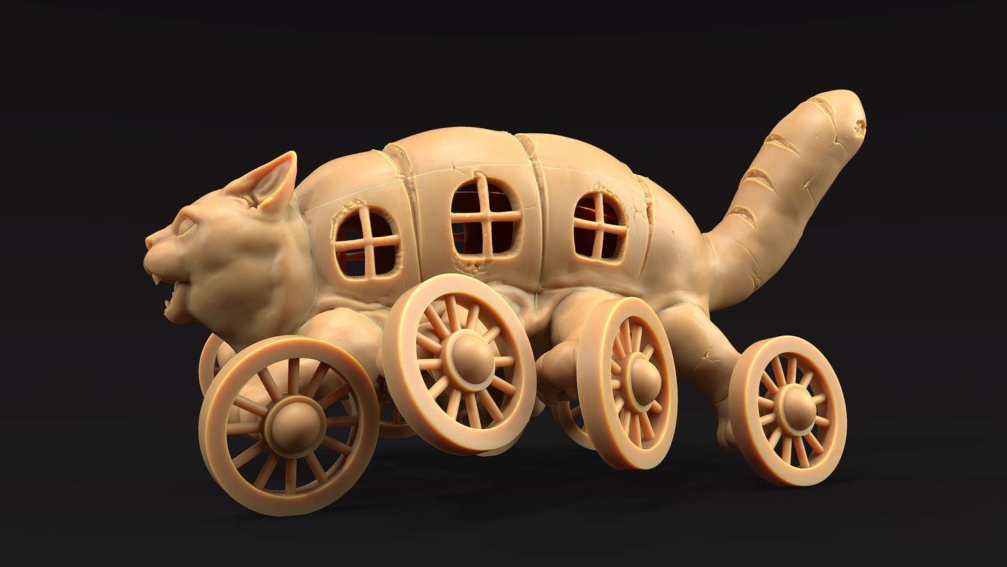 Gato Autobus Pan 1