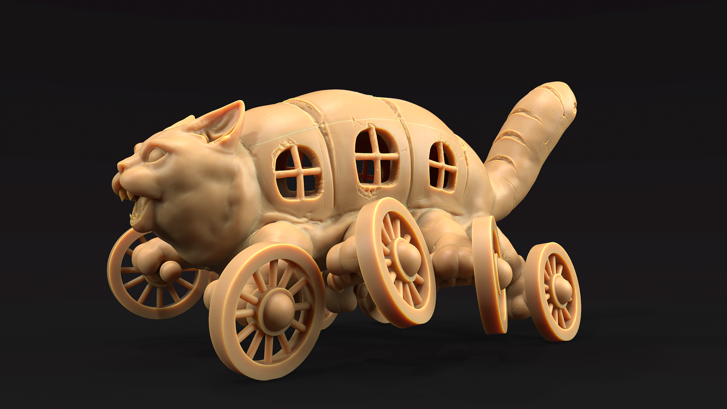 Gato Autobus Pan 1