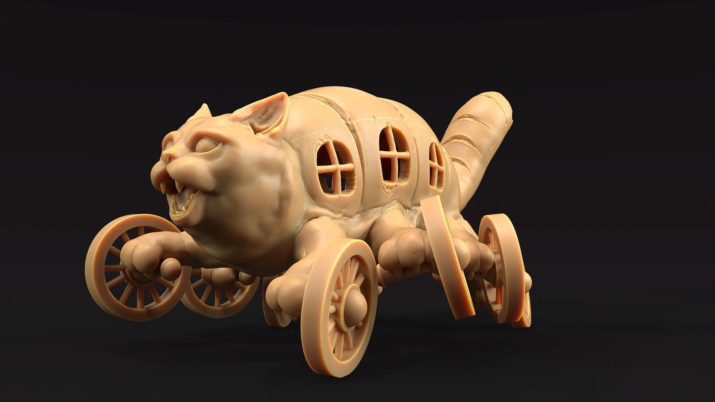 Gato Autobus Pan 1