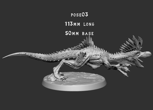 Kulu-Ya-Ku - Pose 3
