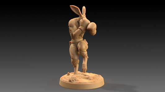 Boxeador Conejo