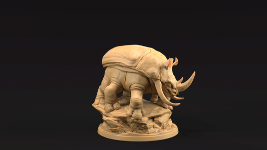 Escarabajo Rinoceronte 3