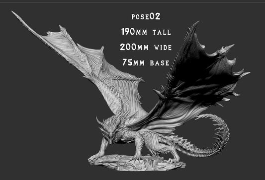 Safi´Jiva Elder Dragon - Pose 2