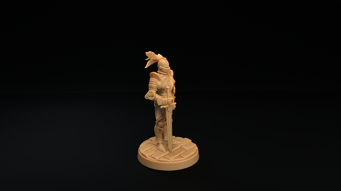 Armadura y Mímico Armadura 1