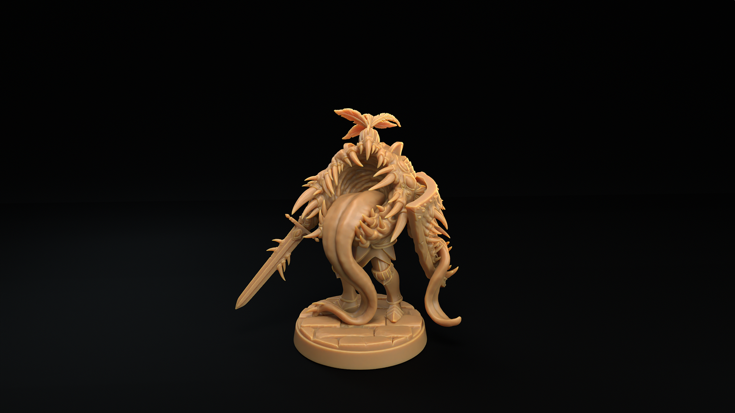 Armadura y Mímico Armadura 1