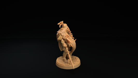 Armadura y Mímico Armadura 1