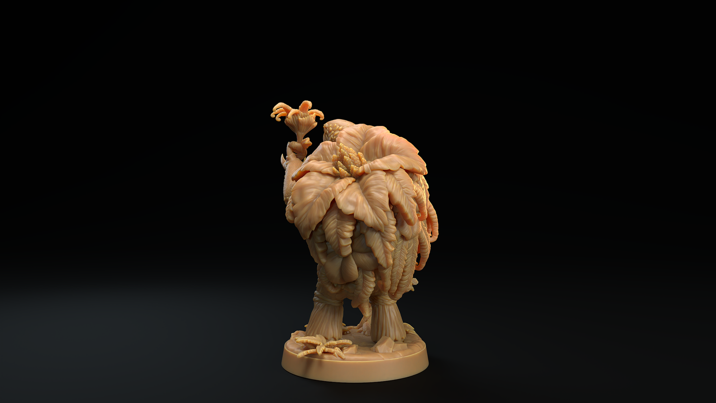 Tortuga Druida