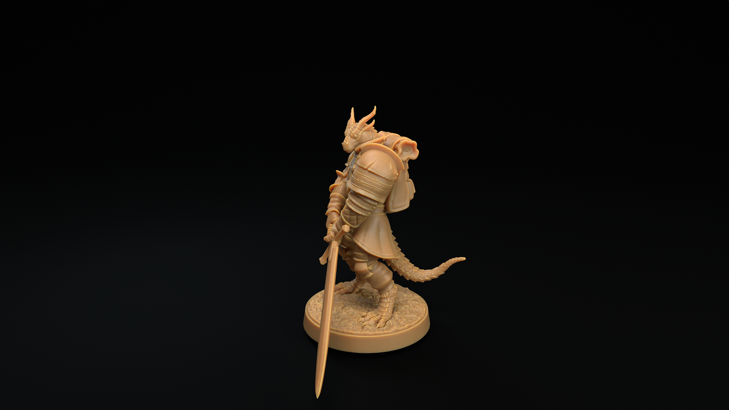 Guerrero Draconiano 2