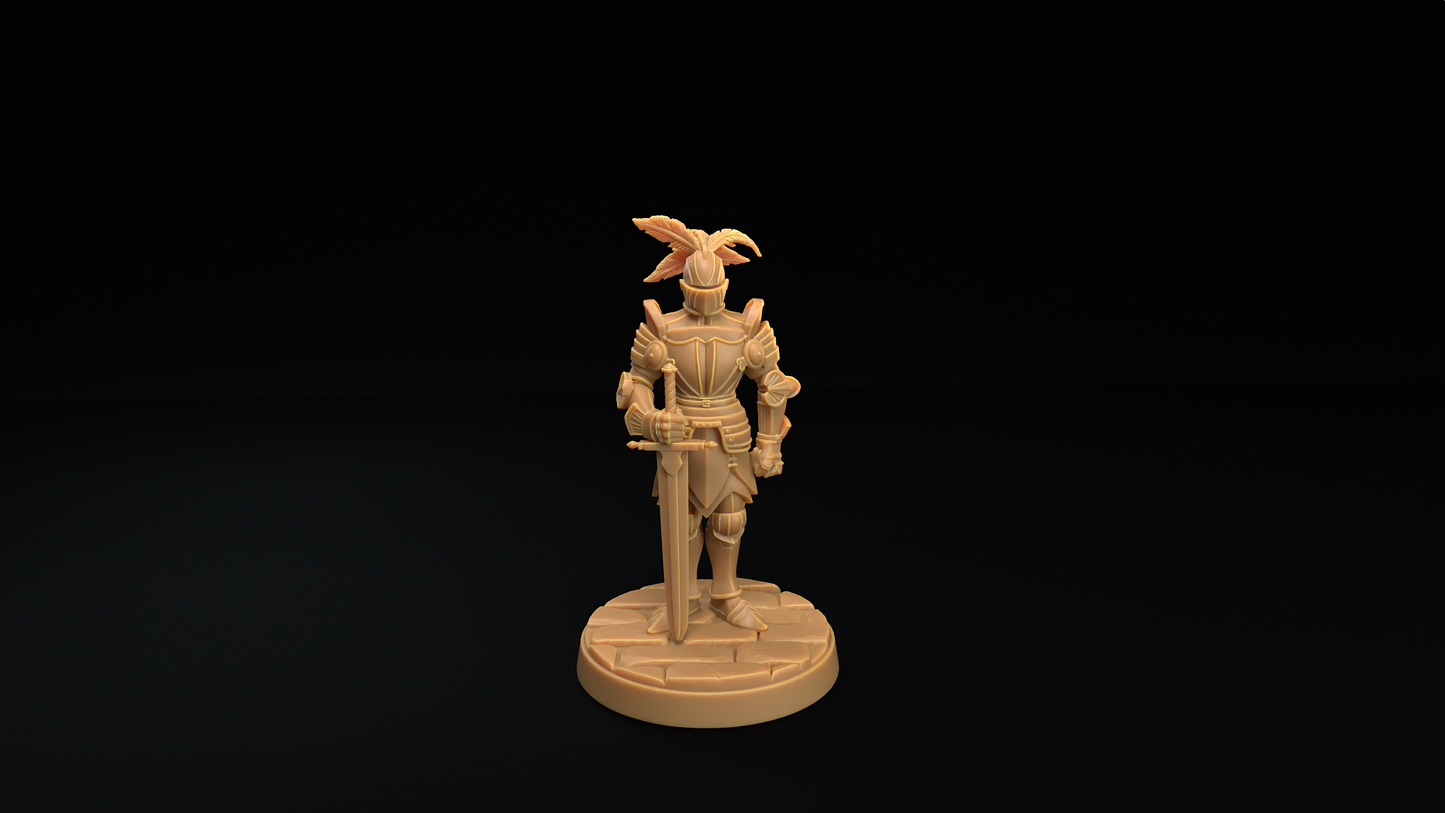 Armadura y Mímico Armadura 1