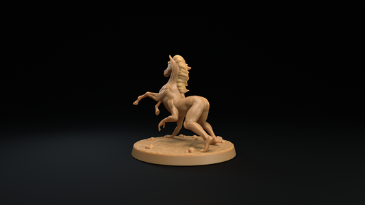 Centauro invertido 1