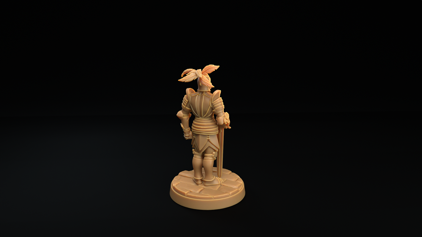 Armadura y Mímico Armadura 1