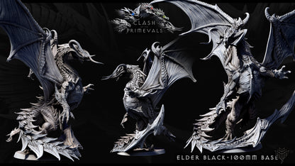 Dragón Negro Anciano 2