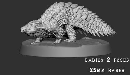 Ceratonoth Baby 1