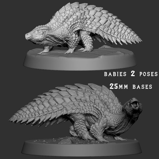 Ceratonoth Baby 2