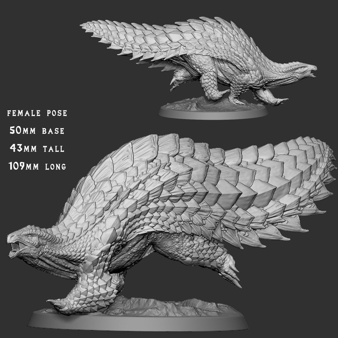 Ceratonoth Female 1
