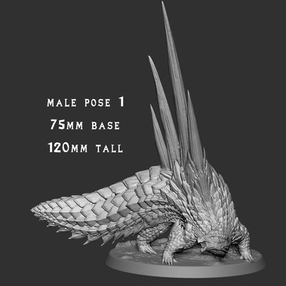 Ceratonoth Male 1
