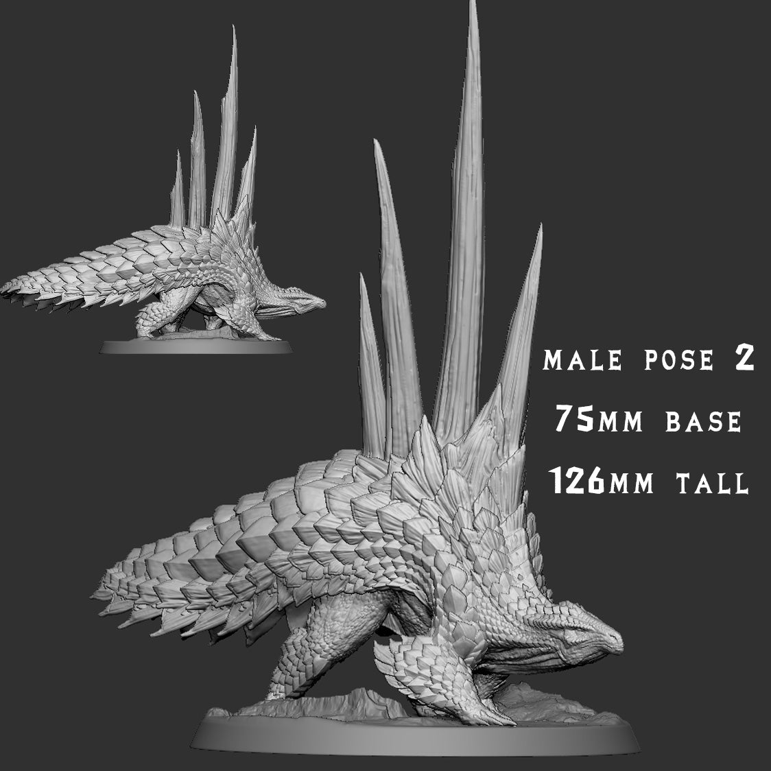 Ceratonoth Male 2