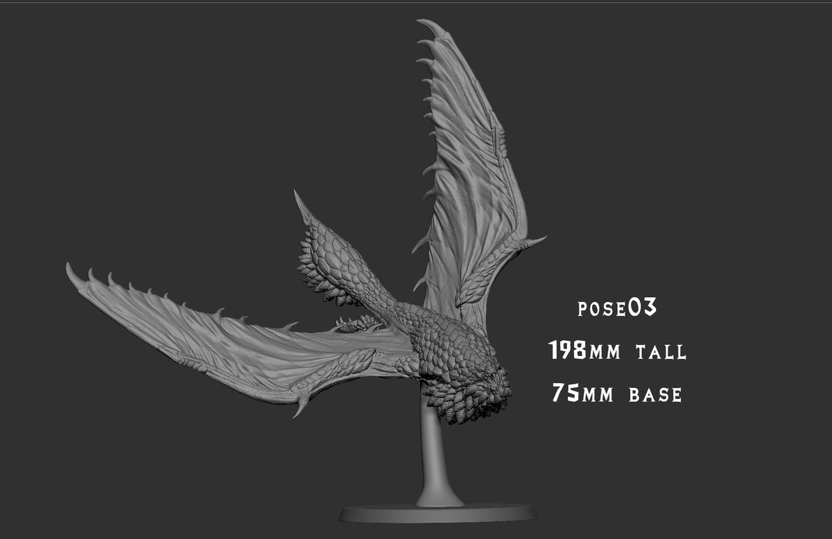 Bazelgeuse - Pose 3