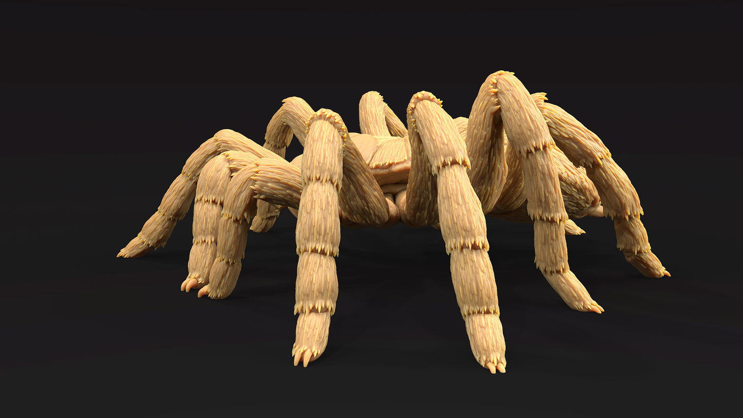 Tarantula Colosal