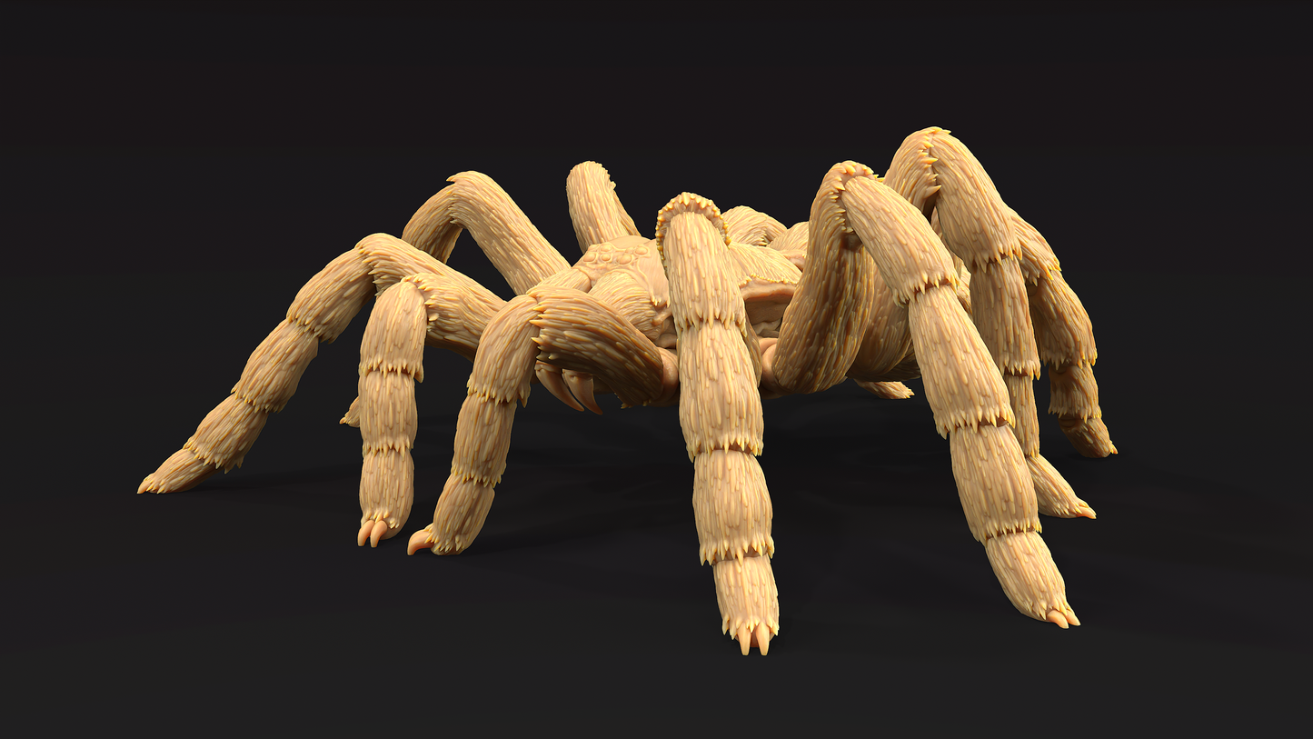 Tarantula Colosal