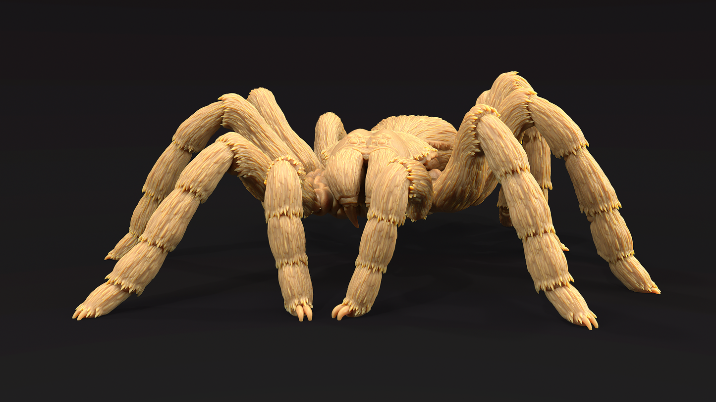 Tarantula Colosal