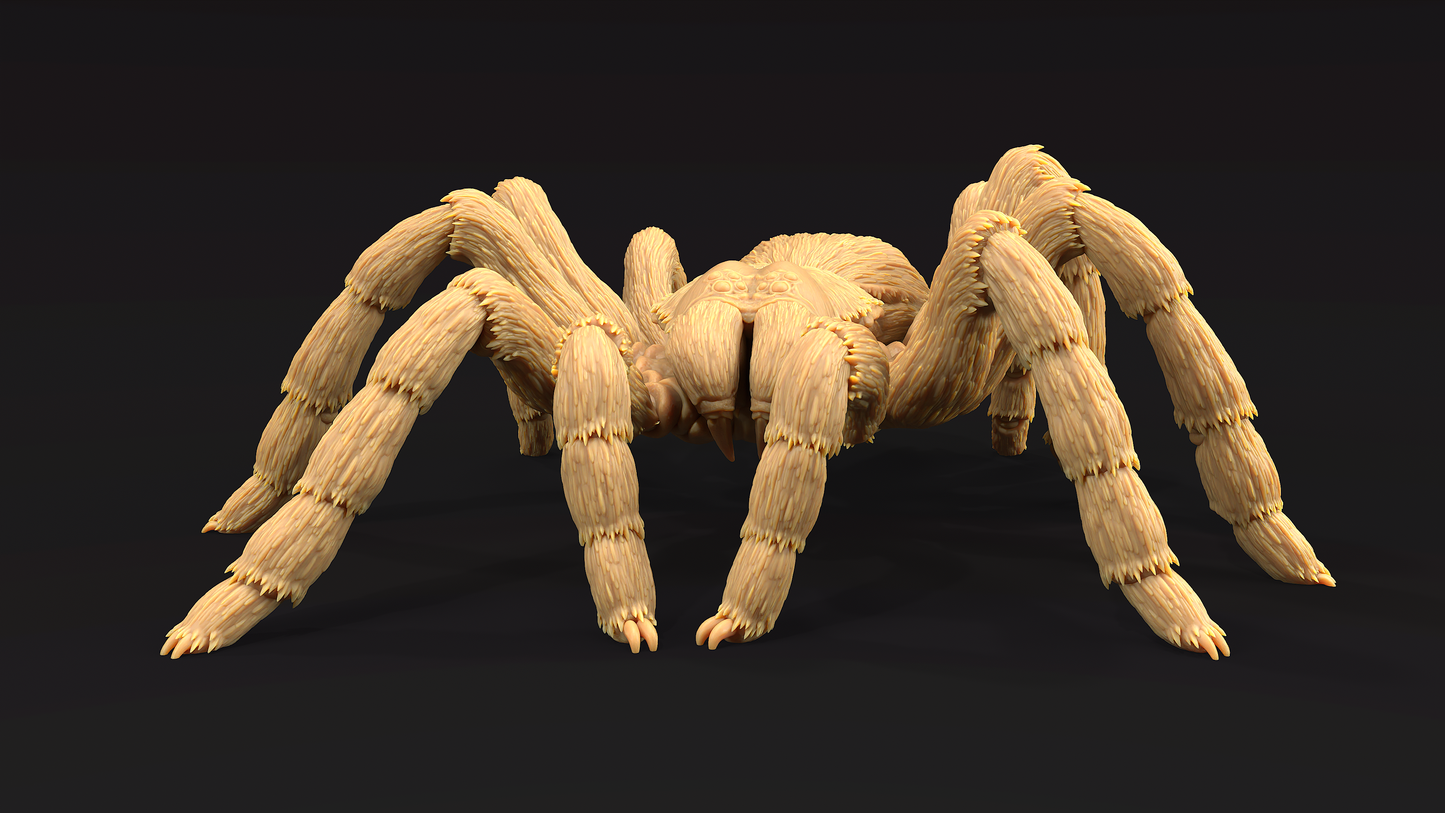 Tarantula Colosal