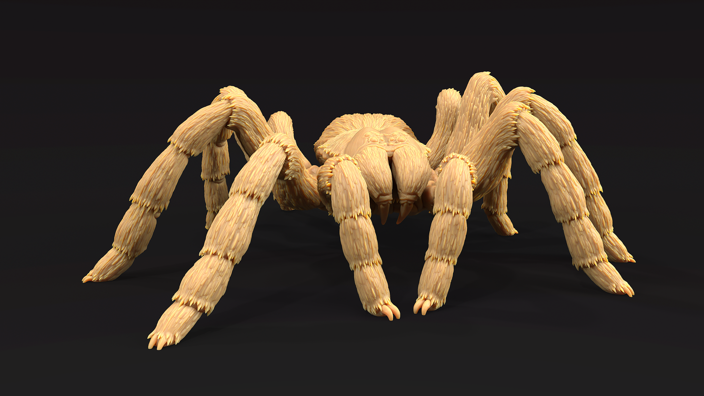 Tarantula Colosal