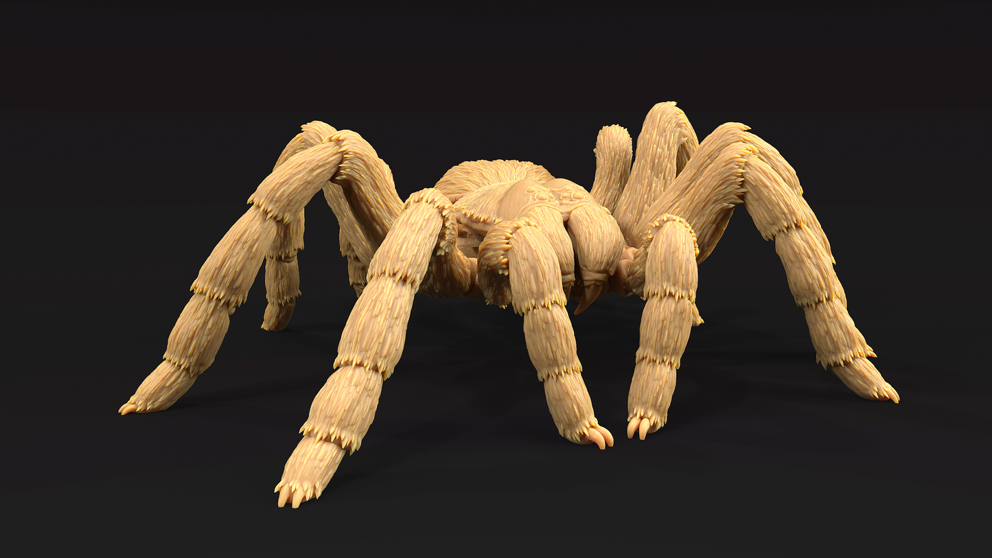 Tarantula Colosal