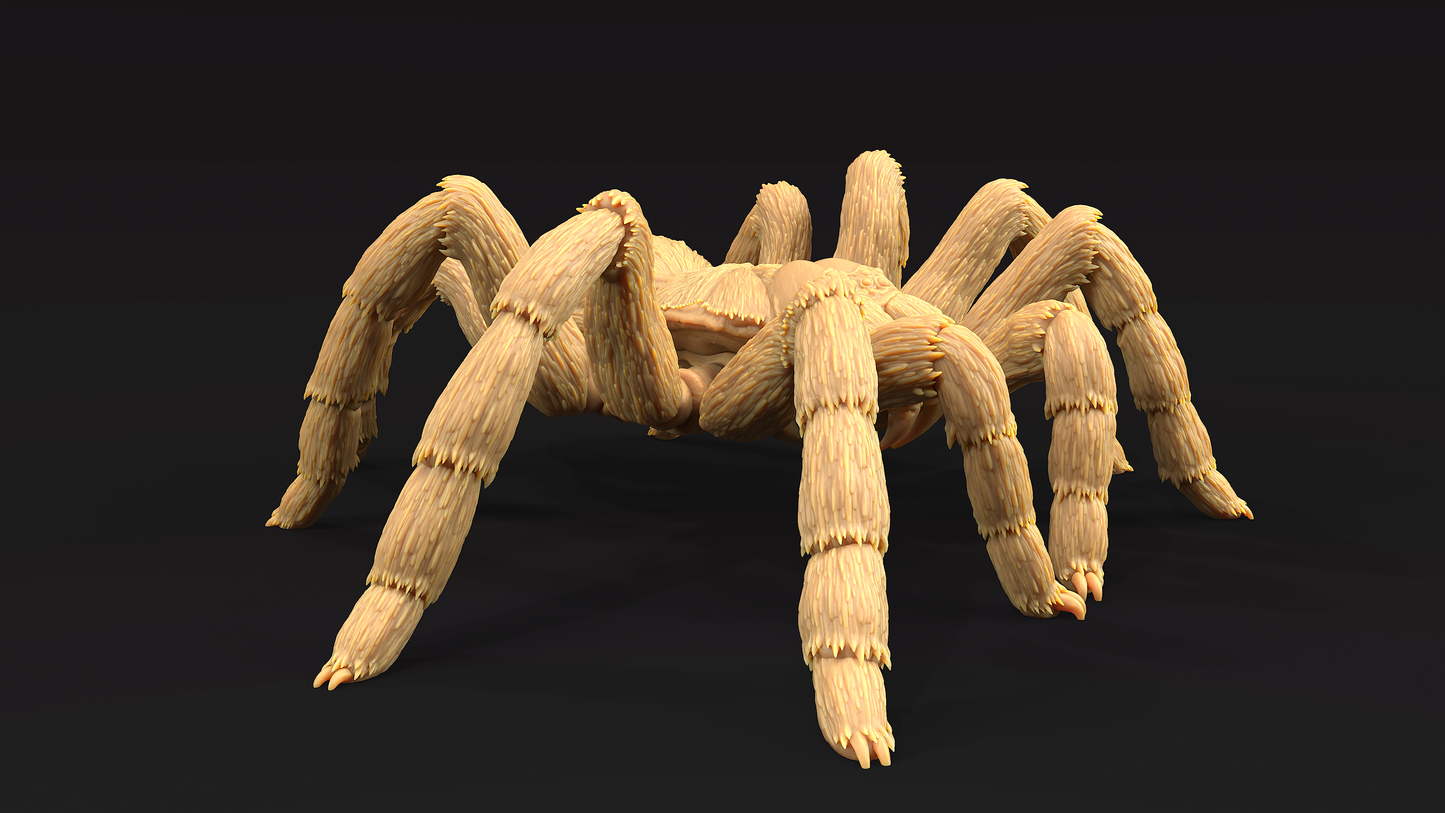 Tarantula Colosal