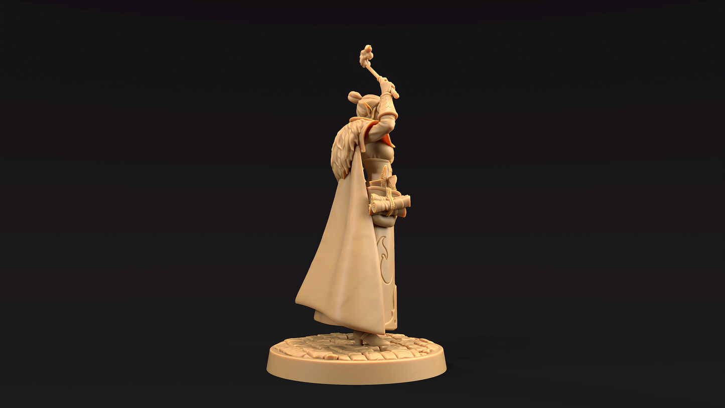 Esmere Kindletome - Hechicera Elfa