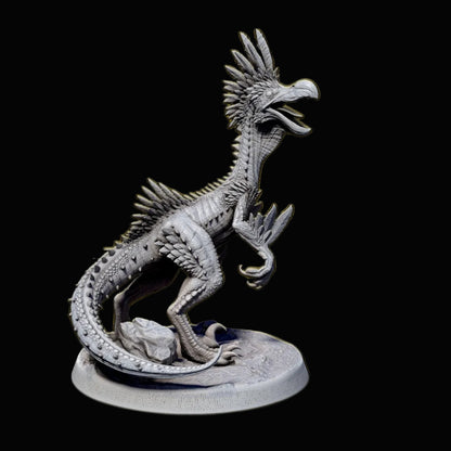 Kulu-Ya-Ku - Pose 1