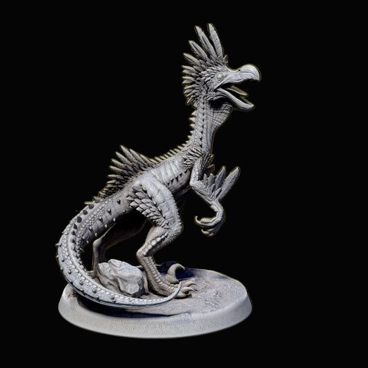 Kulu-Ya-Ku - Pose 1