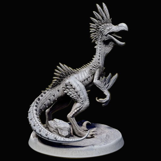 Kulu-Ya-Ku - Pose 2