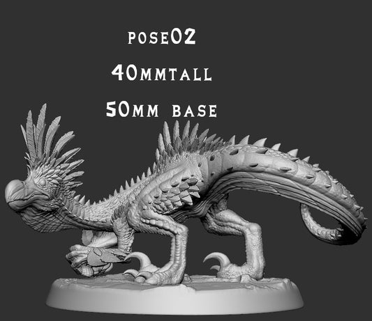 Kulu-Ya-Ku - Pose 2