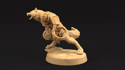 Cazador Lobo con Chakram 4