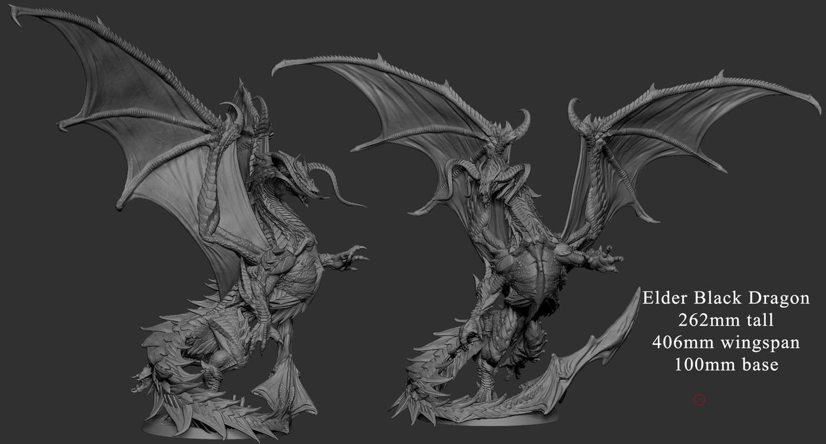 Dragón Negro Anciano 2