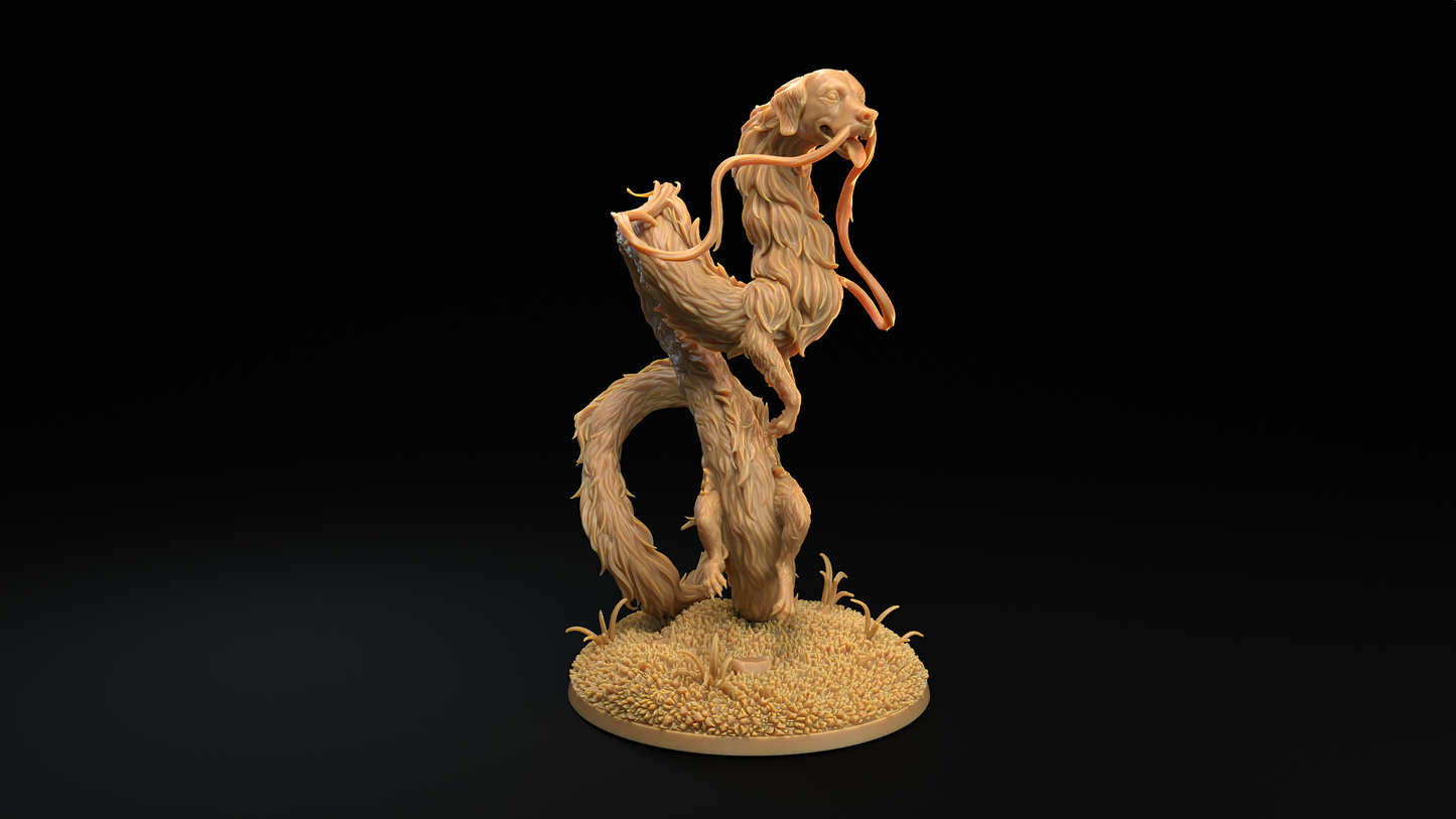 Perro Dragón de la Suerte