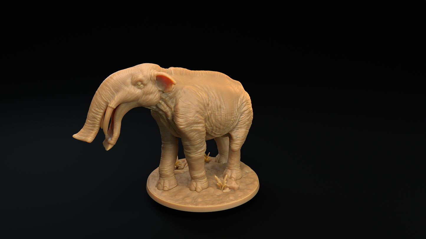 Platybelodon - Elefante Prehistorico 2