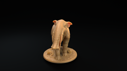 Platybelodon - Elefante Prehistorico 2