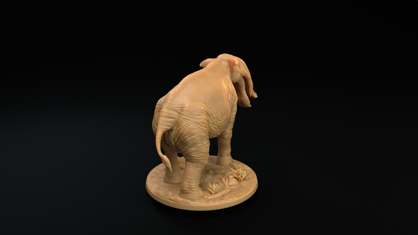 Platybelodon - Elefante Prehistorico 2