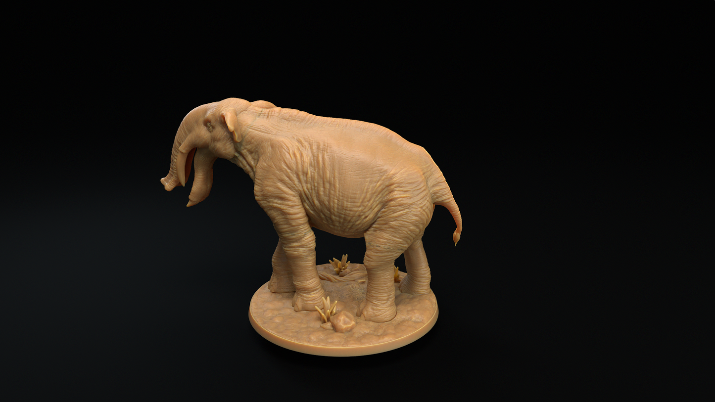 Platybelodon - Elefante Prehistorico 2