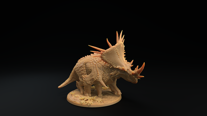 Megaceratops - Triceratops gigante