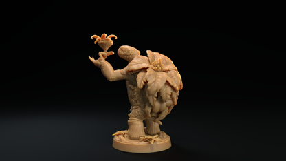 Tortuga Druida
