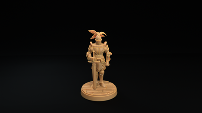 Armadura y Mímico Armadura 1