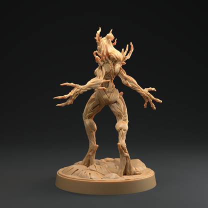 Druida Arbórea 4