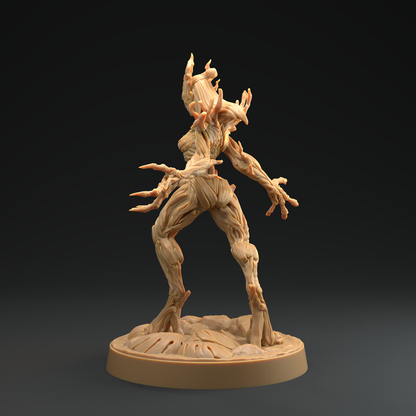 Druida Arbórea 4