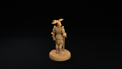 Armadura y Mímico Armadura 1
