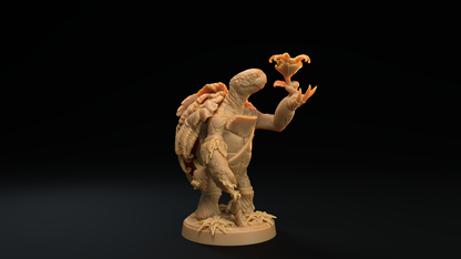 Tortuga Druida