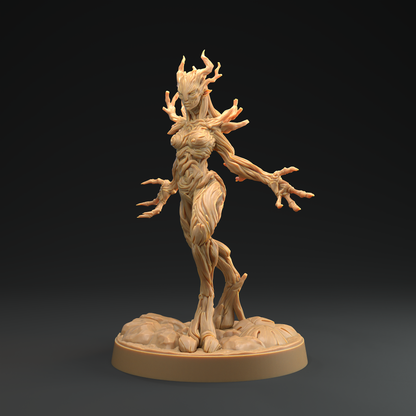Druida Arbórea 4