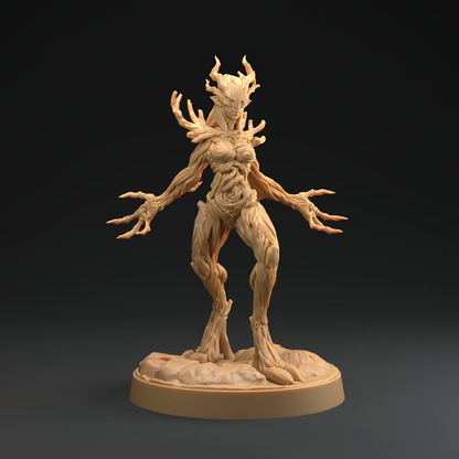 Druida Arbórea 4